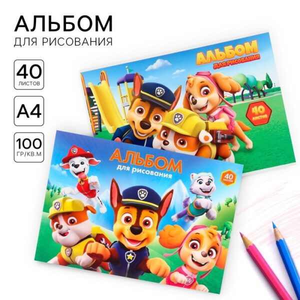 Набор альбомов для рисования на склейке 40 листов, 2 штуки, Paw Patrol